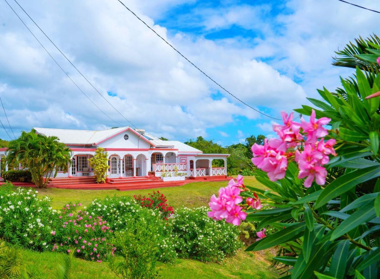 Sunny Palm Villas Laborie Zewnętrze zdjęcie